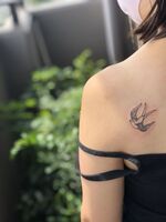 左肩にツバメtattoo