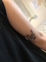 ちょうちょ＆数字☆梵字tattoo