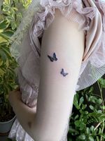 Butterfly♡tattoo